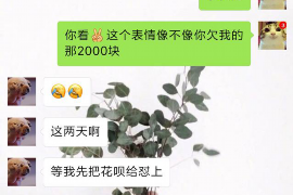 枣庄市讨债律师排行榜最新：为您揭秘专业讨债法律服务